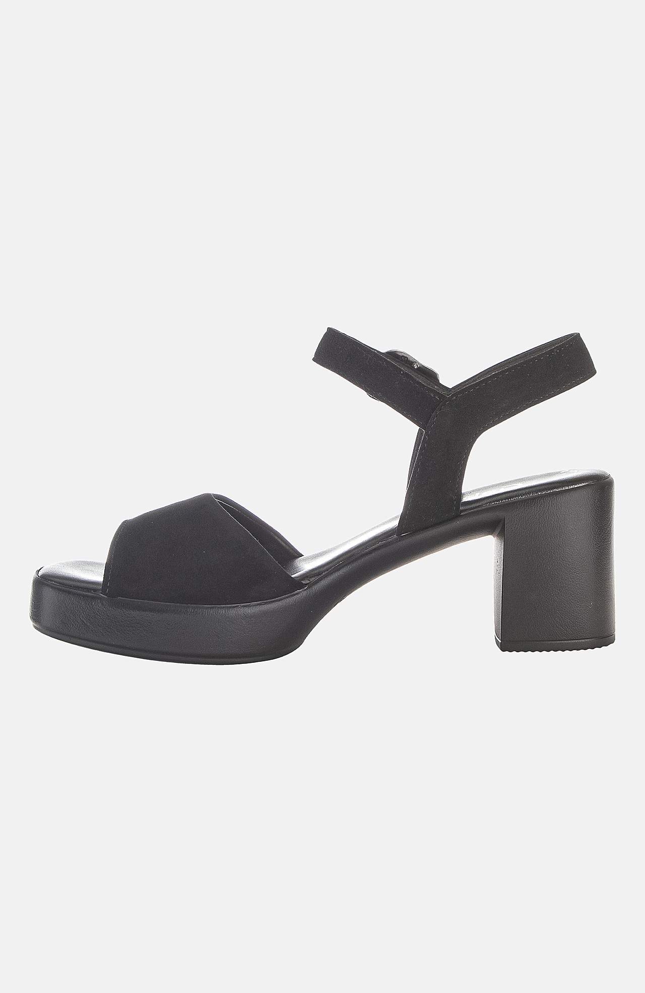 Plokk-kontsaga rihmikud