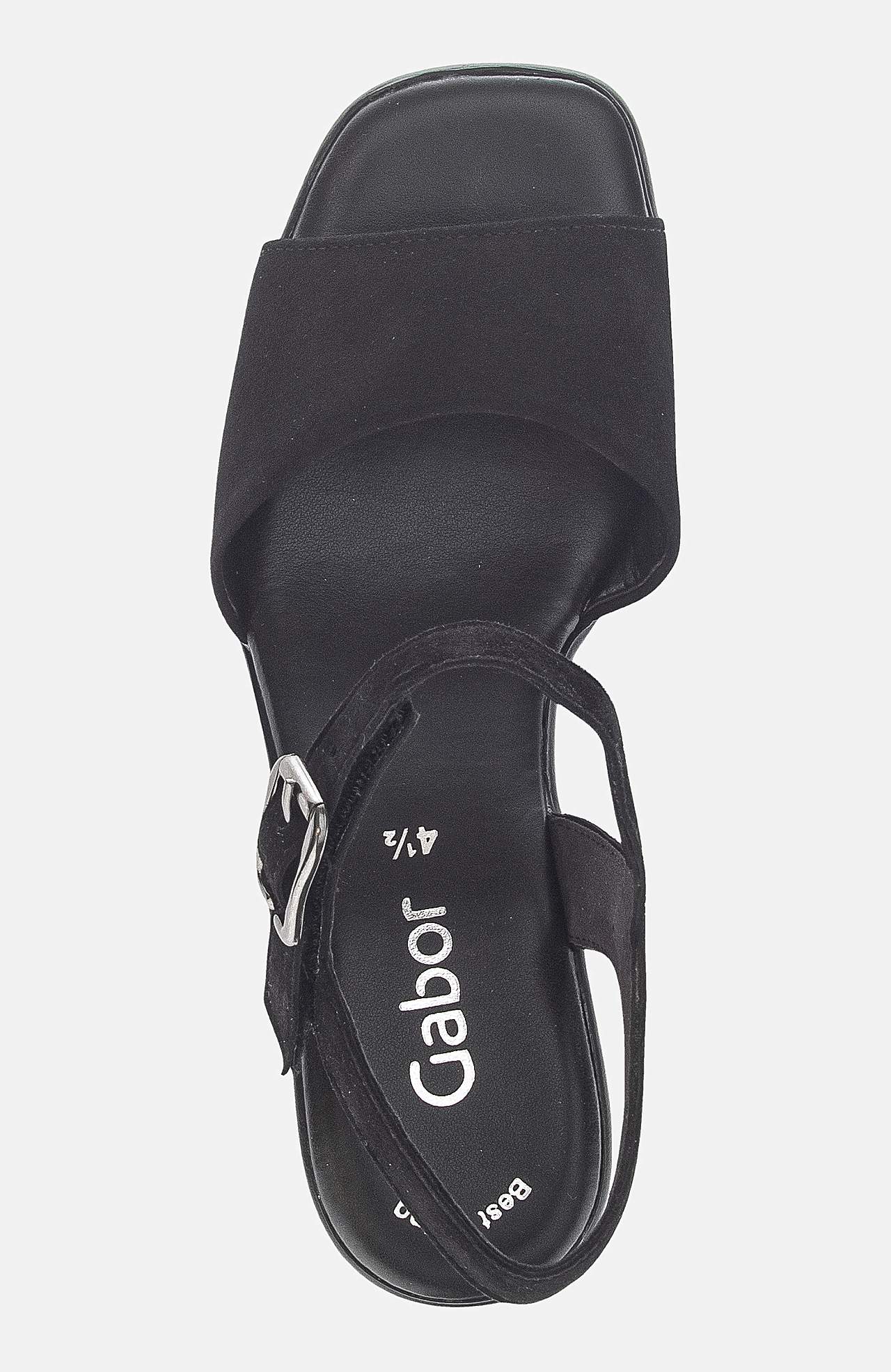 Plokk-kontsaga rihmikud