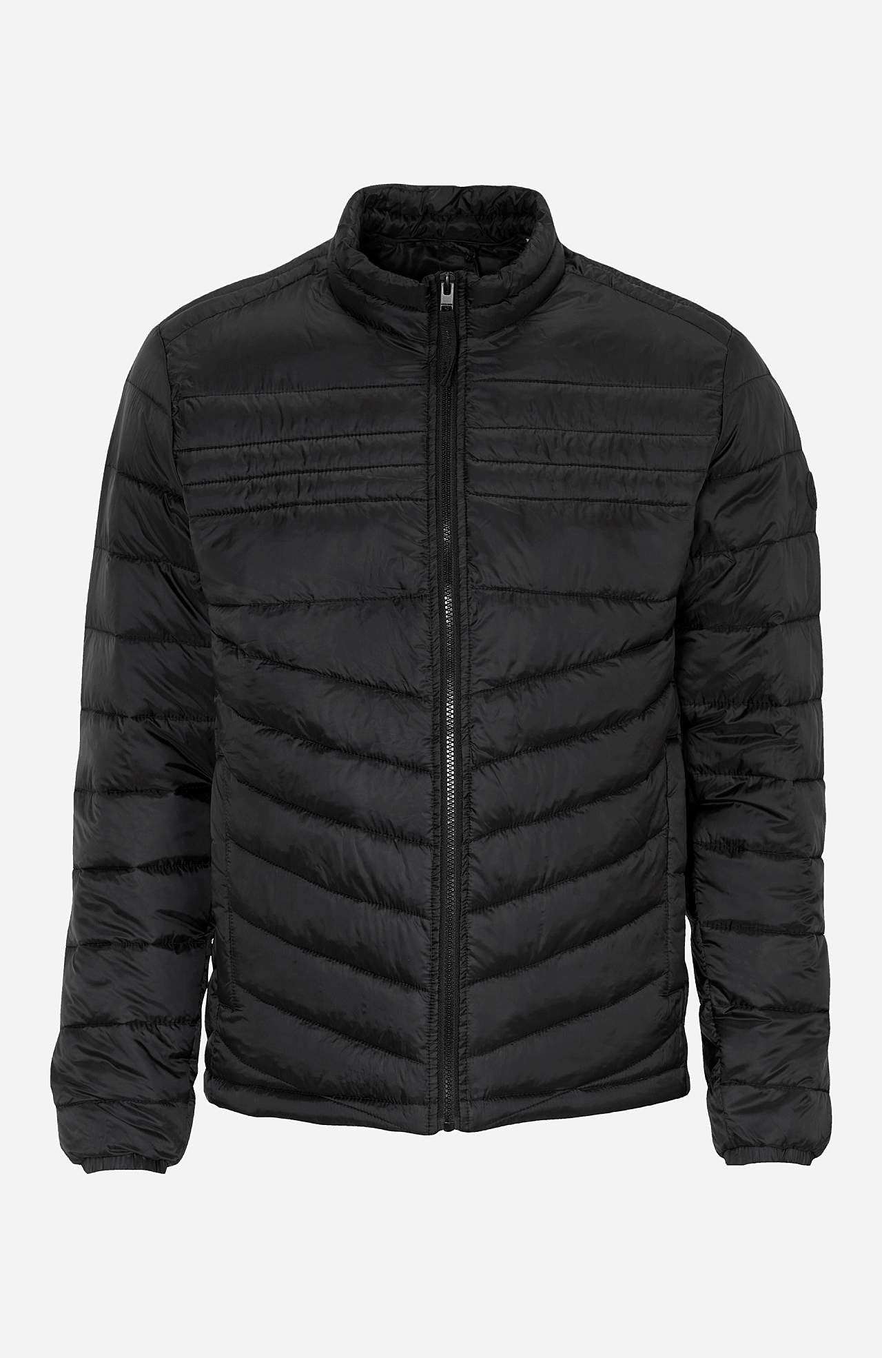 Tepitud kerge jope Hero puffer  