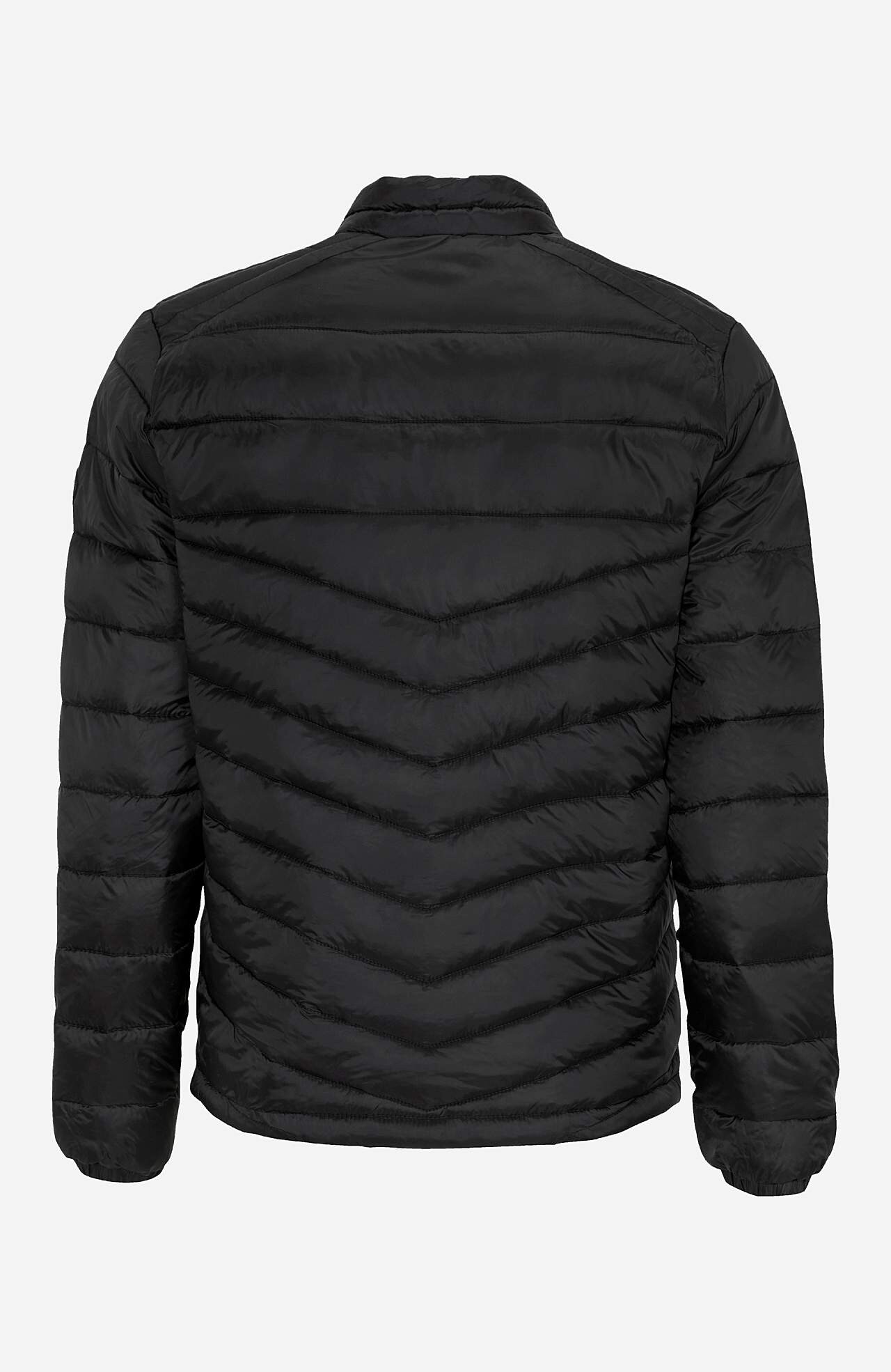 Tepitud kerge jope Hero puffer  
