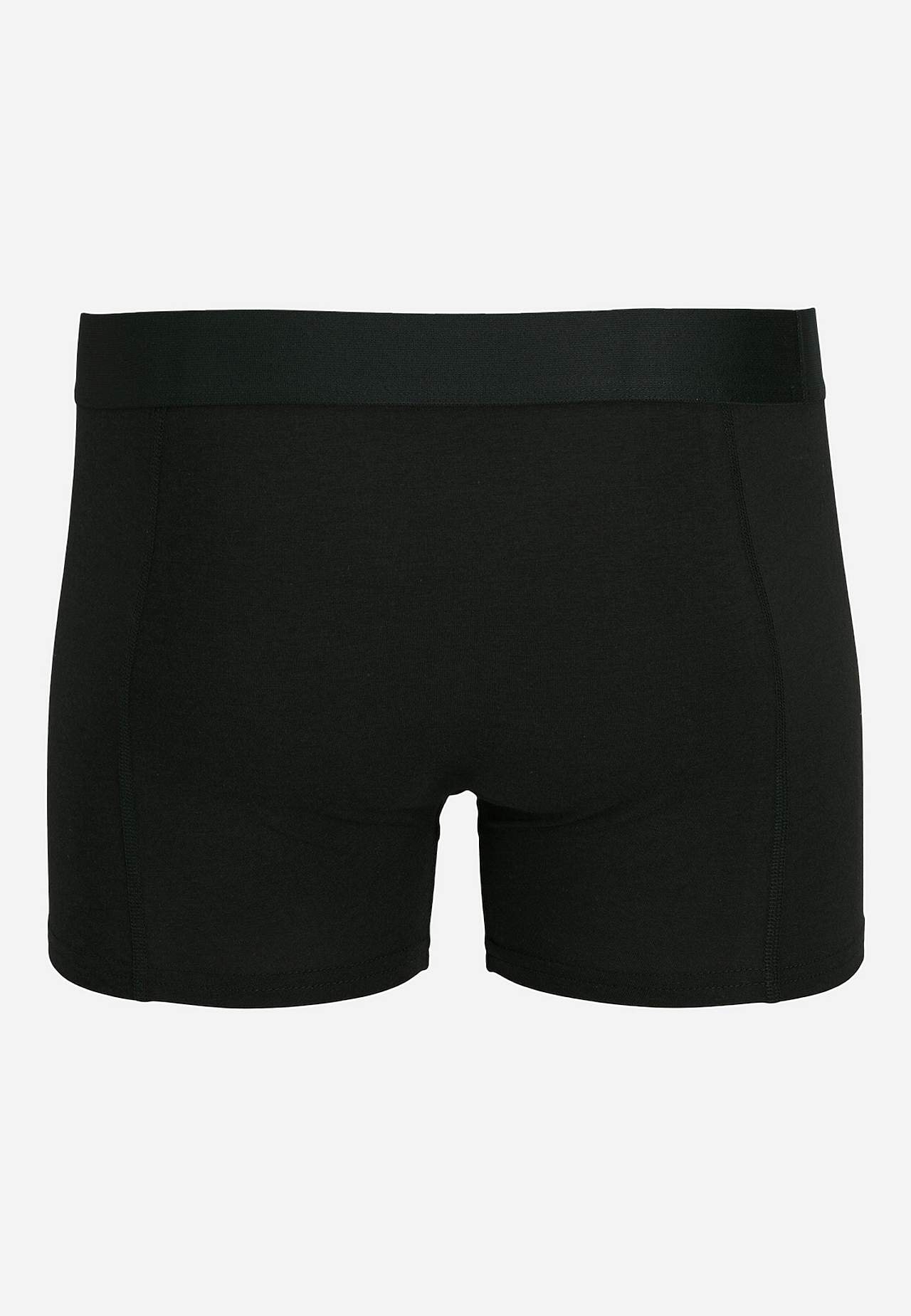 Bambusviskoosist aluspüksid 3 tk pakis