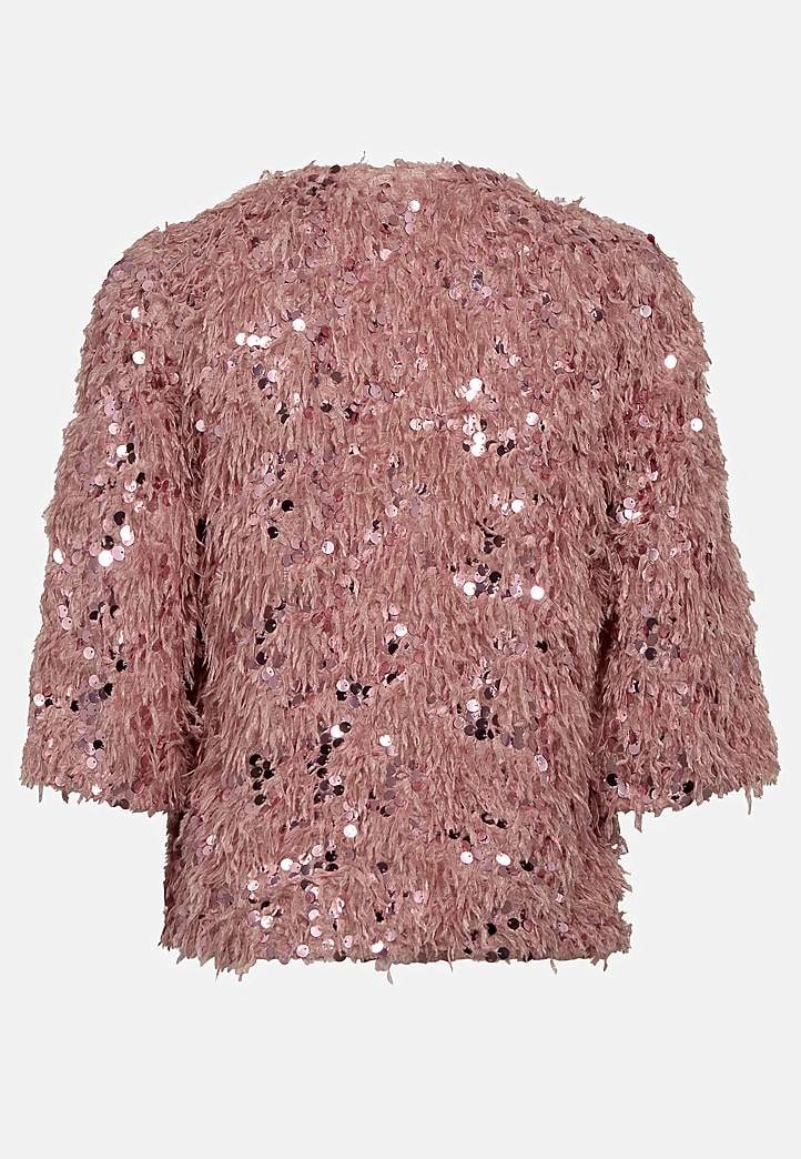 Litrite ja narmastega pidulik topp