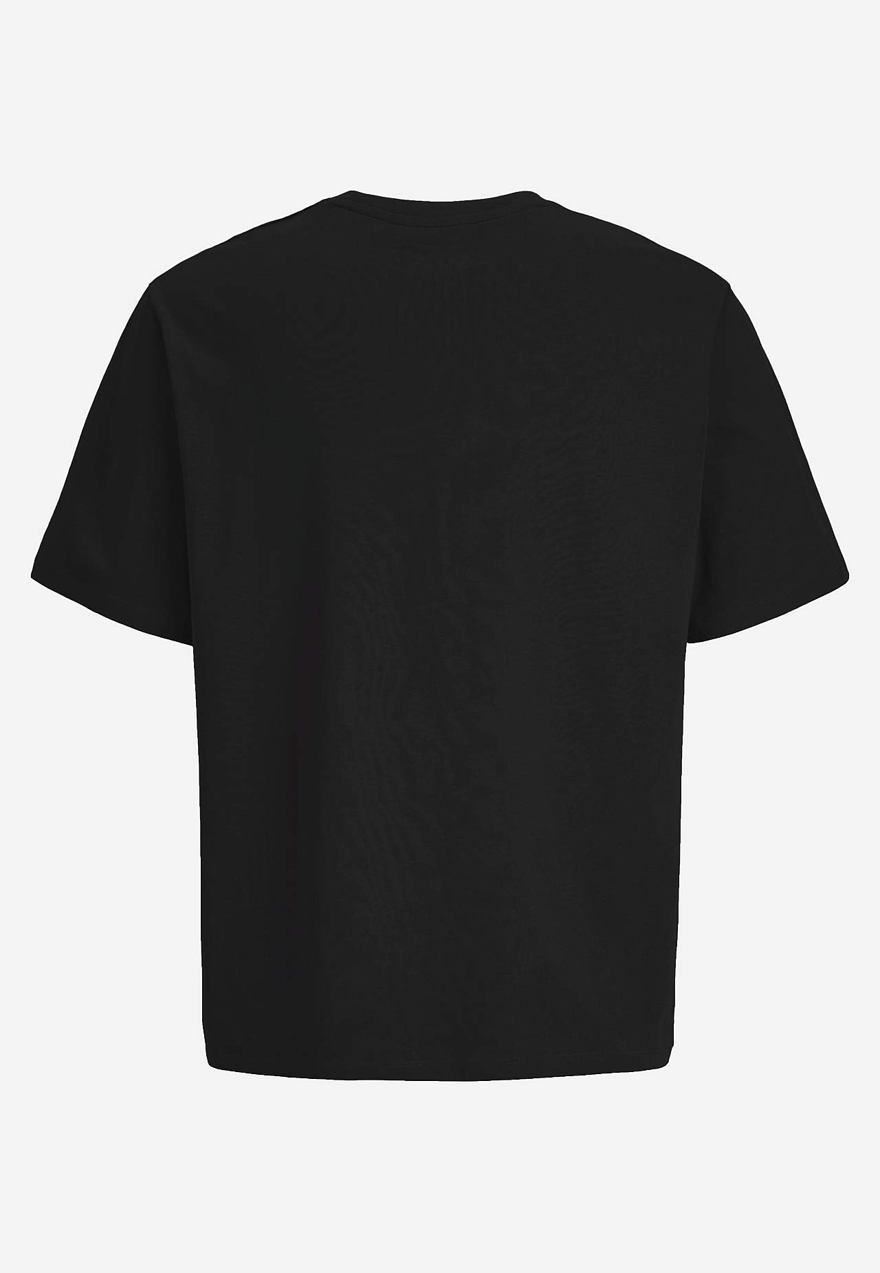 Trükipildiga T-särk