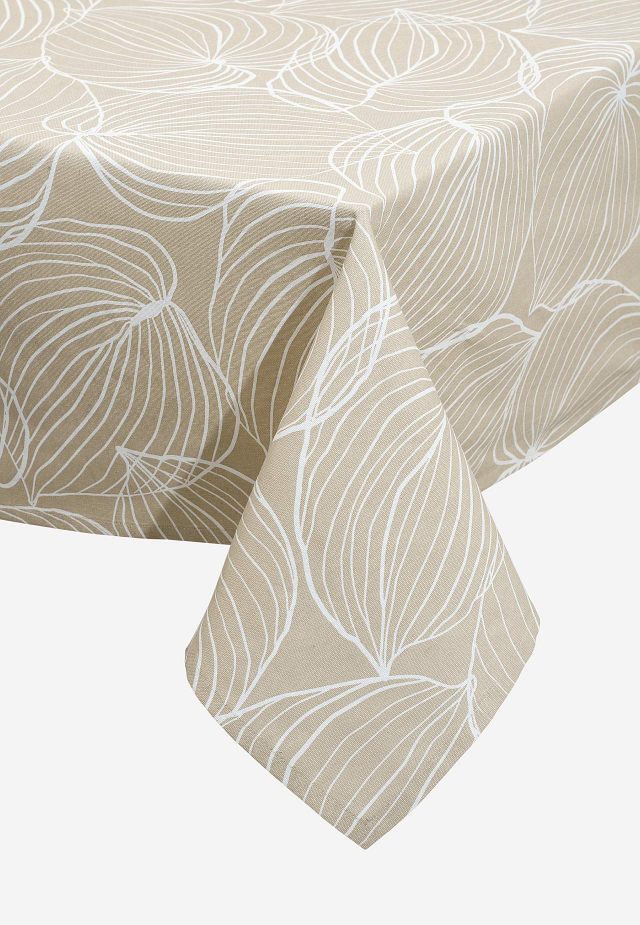 Lehemustriga laudlina