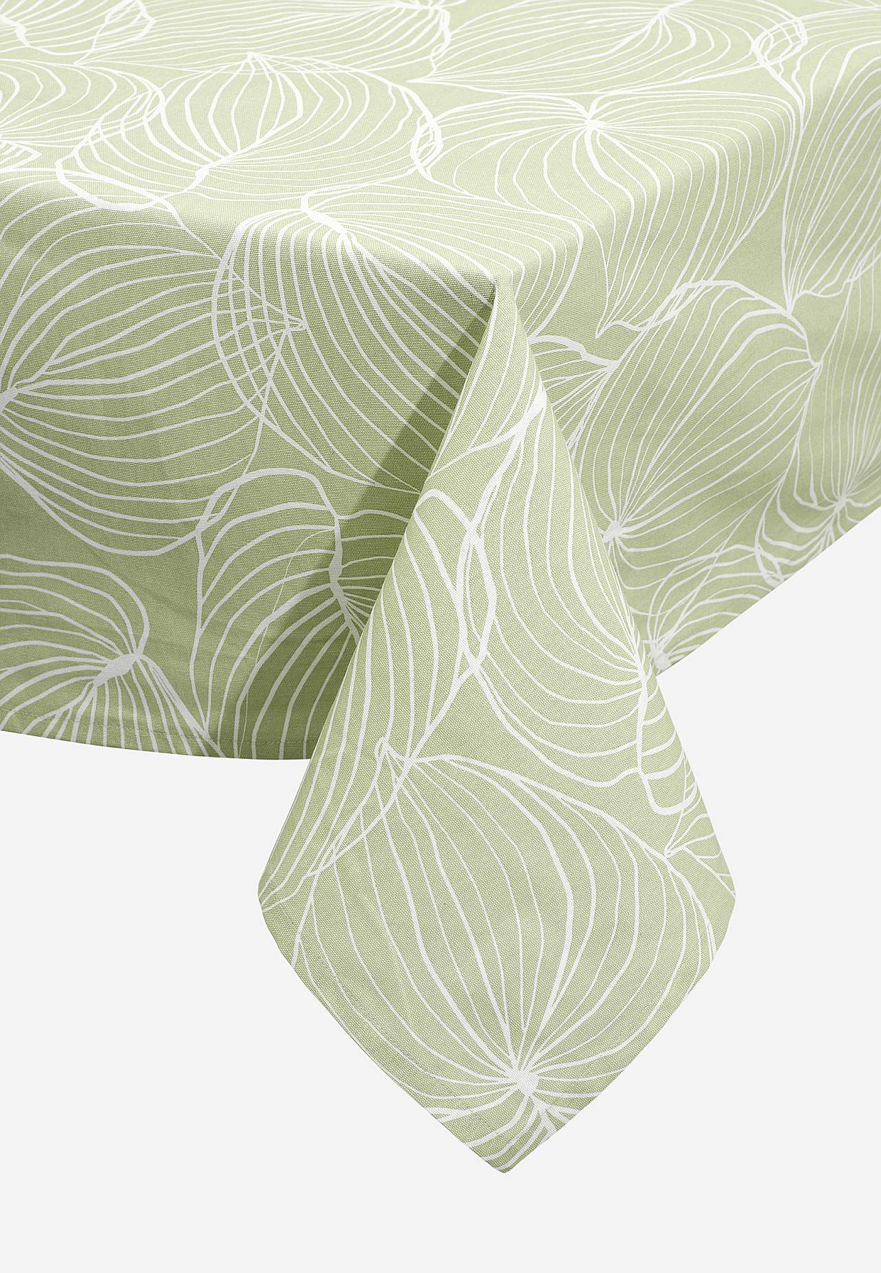 Lehemustriga laudlina